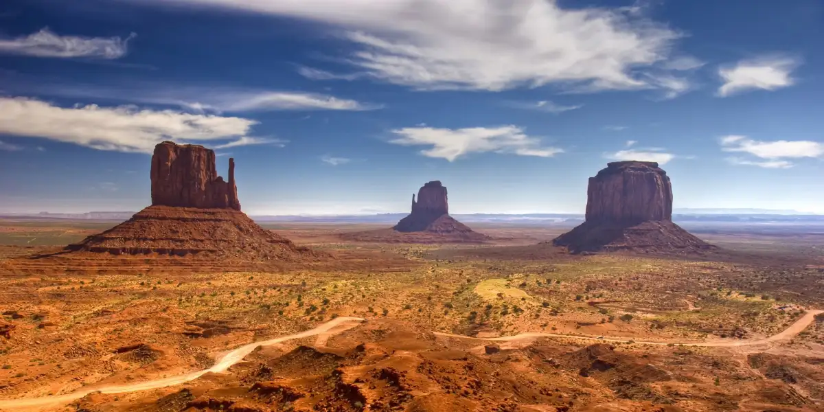 Standardowy z wszystkimi fieldami