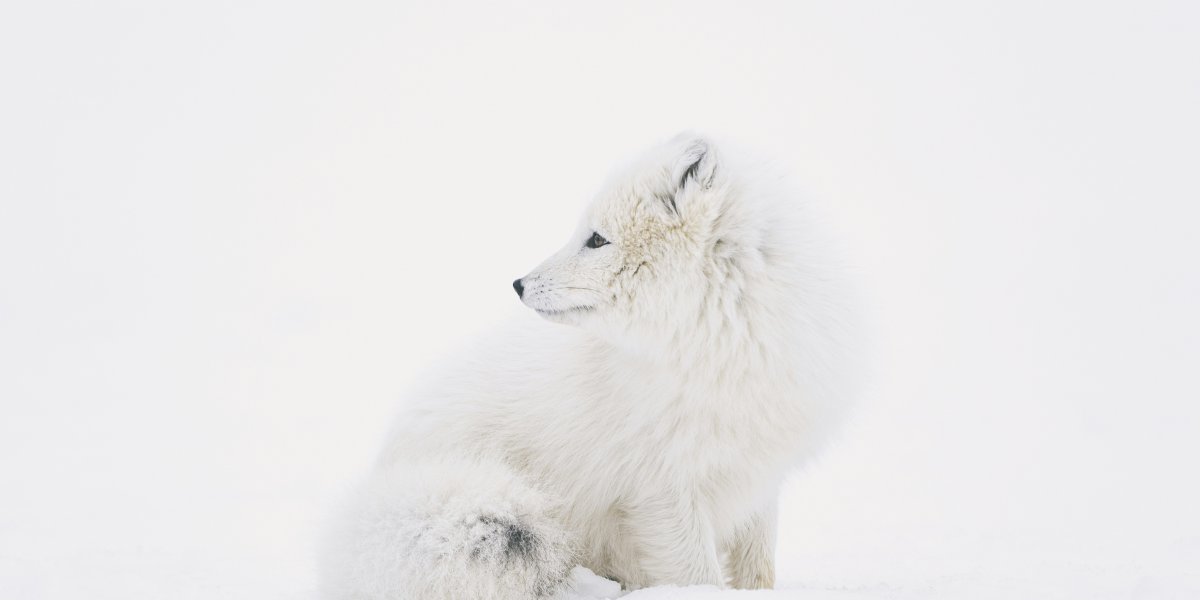 Nowy kurs stworzony w editor.js