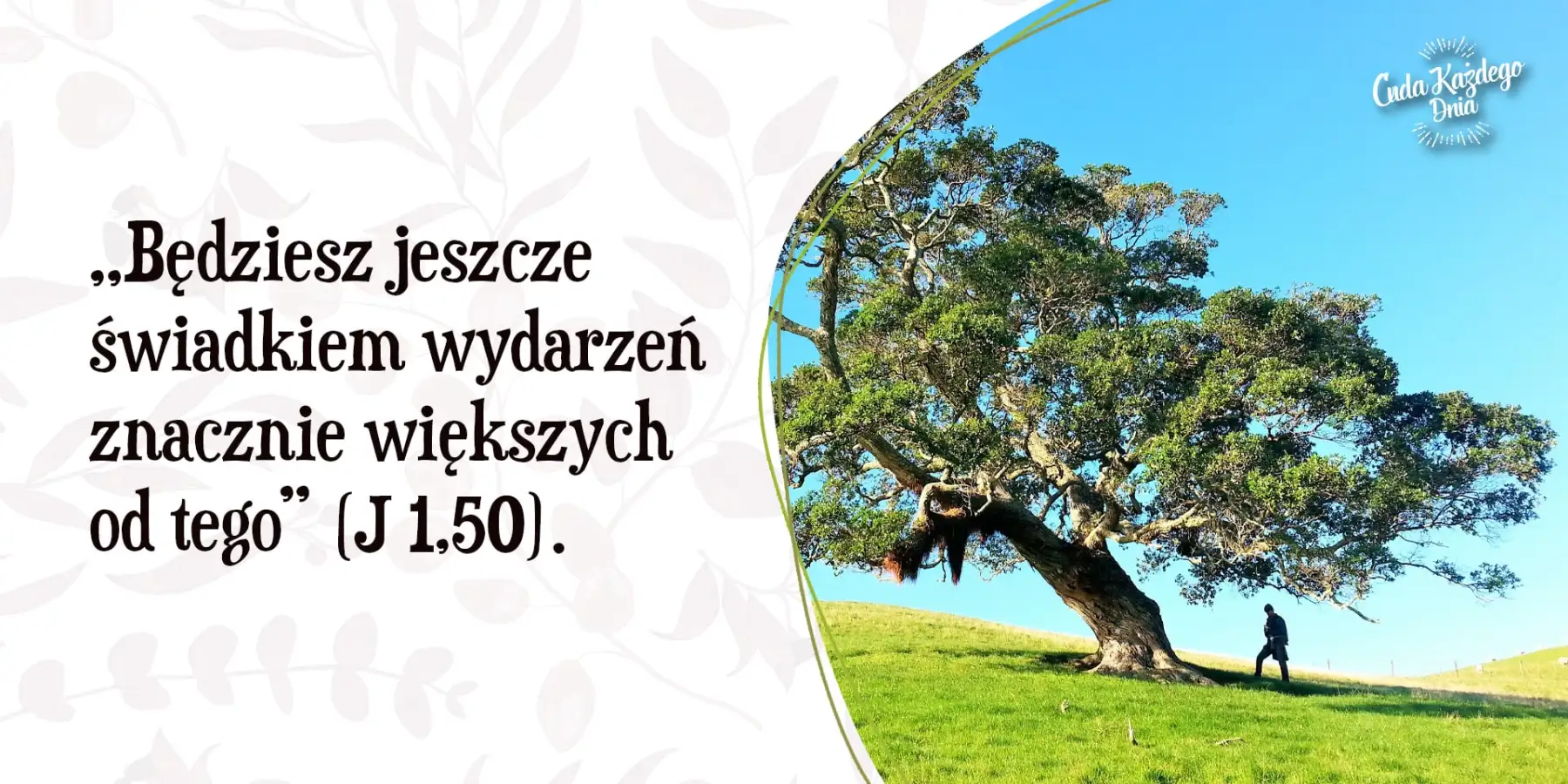 Szybciej, mocniej, wydajniej – poradnik backendowca